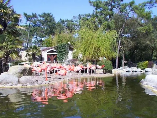 2 Proche De La Apartamento