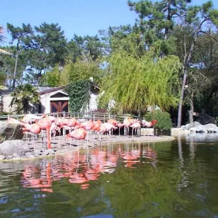 2 Proche De La Apartment